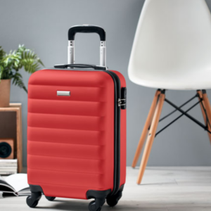 Valises à personnaliser