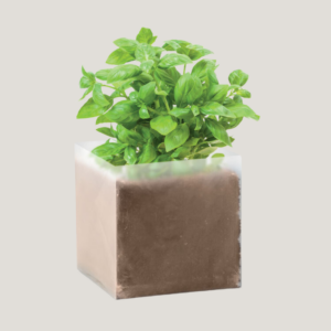 Plantes aromatiques substrat pot à personnaliser