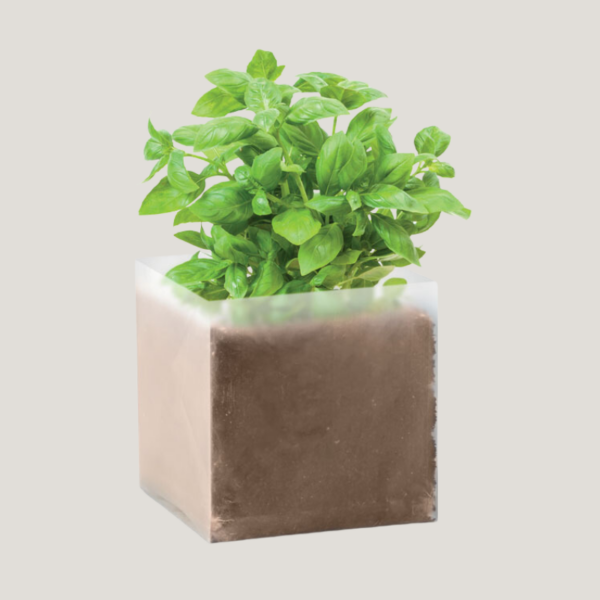 Plantes aromatiques substrat pot à personnaliser