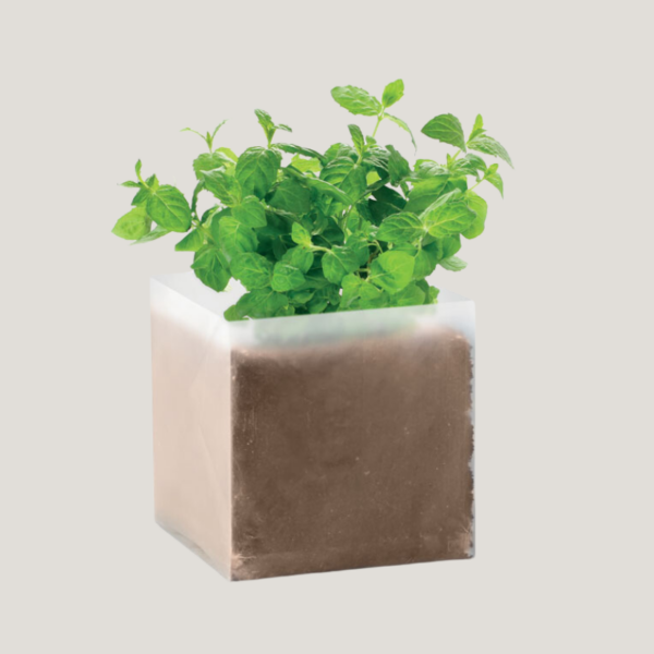 Plantes aromatiques substrat pot à personnaliser
