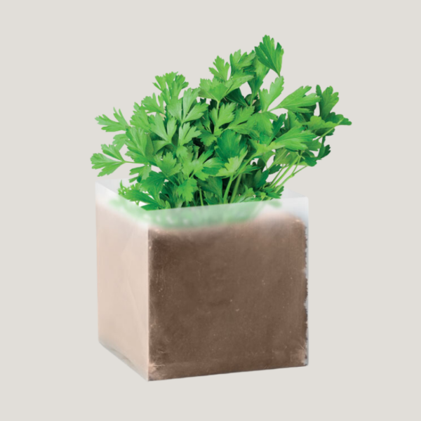 Plantes aromatiques substrat pot à personnaliser